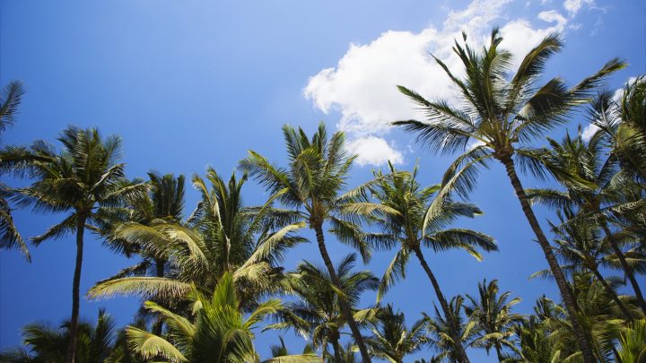 CROSS HEADのユニーク制度 #1