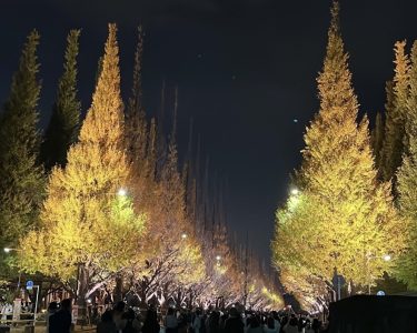 24卒 新入社員OJTインタビュー#6【情シスSAMURAI】