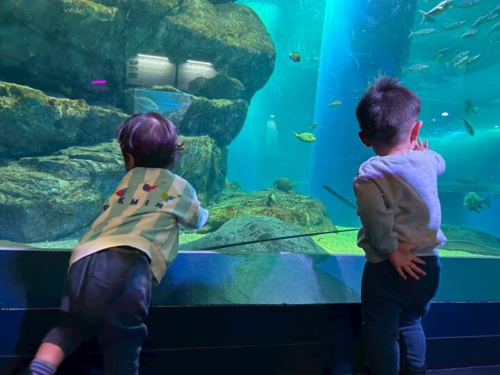 【サークル紹介】生き物部