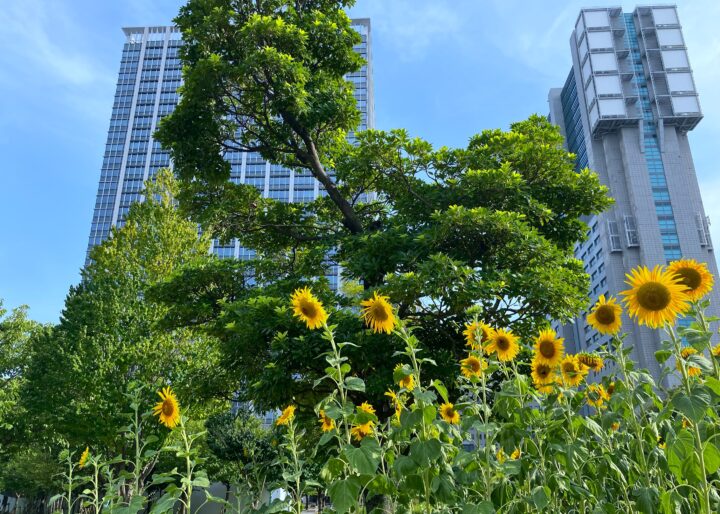 オフィス周辺をご紹介！