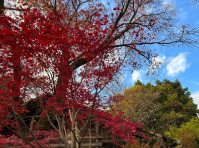 【サークル紹介】登山サークル 活動レポート
